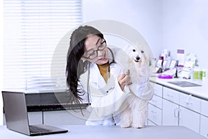 Female veterinarian examining dog