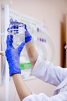 Female veterinarian examining a dog in a vet clinic