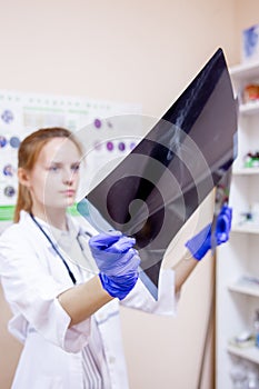 Female veterinarian examining a dog in a vet clinic