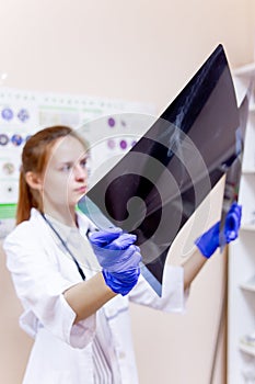 Female veterinarian examining a dog in a vet clinic