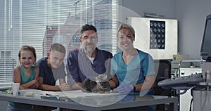 Female veterinarian fondling cat