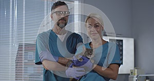Female veterinarian holding cat