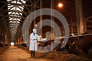 Female Veterinarian Inspecting Cows at Farm