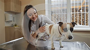 Female veterinarian prepares to check up the dog