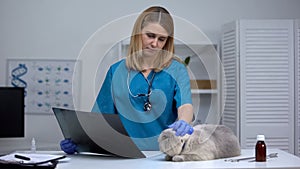 Female veterinarian sadly looking at cat holding x-ray, terminally ill pet