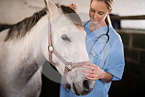 Female veterinarian stroking horse