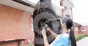 Female veterinarian stroking thoroughbred horse on farm 4k movie