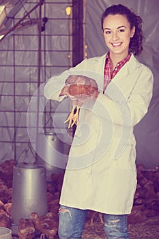 Female veterinarian in white coat holding brown chicken in hands