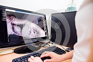 Female Veterinary Surgeon Examining X Ray of a dog.