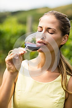 Female vintner having wine