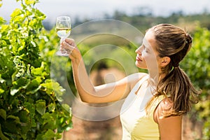 Female vintner holding wine glass