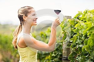 Female vintner holding wine glass
