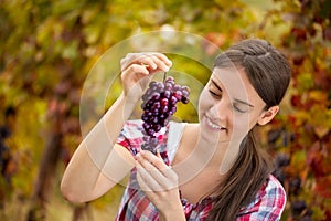 Female vintner inspecting grapes