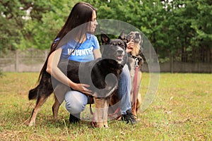 Female volunteer with homeless dogs at animal shelter