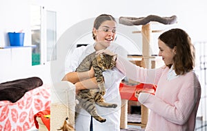 Female volunteer showing gray tabby cat to preteen girl in animal shelter