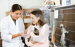 Female volunteer showing kitten to preteen girl in animal shelter