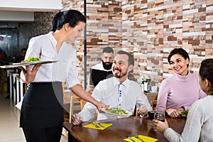 Female waiter bringing order to visitors in country restaurant