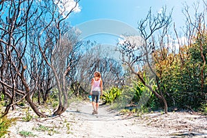 Female walking through burnt bushland that has not regenerated