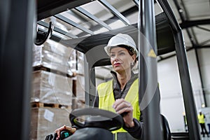 Female warehouse worker driving forklift. Warehouse worker preparing products for shipmennt, delivery, checking stock in