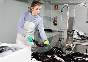 Female washing sturgeon