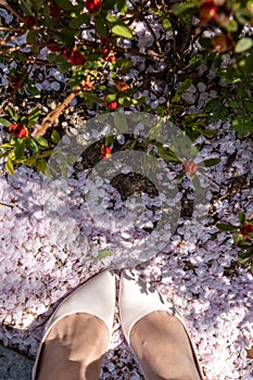 female in white heels on flower petals