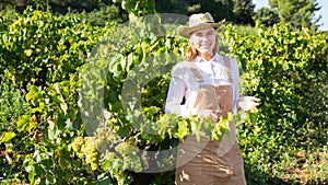 Female winemaker in vine rows