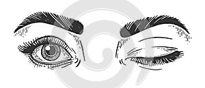 Female winking eyes sketch engraving vector