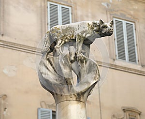 female wolf in Siena Tuscany in Italy called LUPA SENESE in Italian language