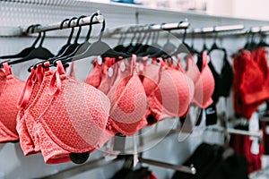 Female Woman Pink Bra Brassiere On Hanger In Store Of Shopping C