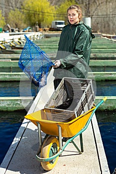 Female worker catching sturgeon with hoop net