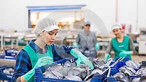 Female worker sorting red cabbage on vegetable processing factory