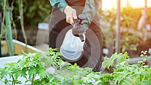 Female worker watering plants in DIY store department