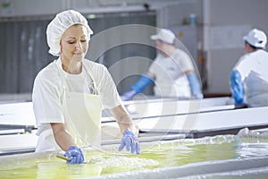 Female worker on white feta cheese production line in an industrial factory