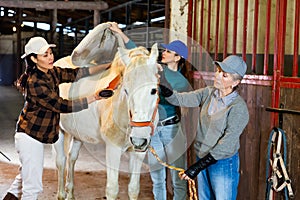 Female workers of stable grooming white racehorse in barn