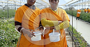 Female workers standing with blueberry basket in blueberry farm 4k