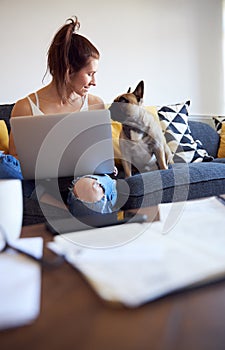 Female working on laptop with pet dog on sofa
