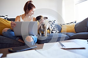 Female working on laptop with pet dog on sofa