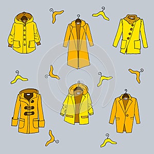 Female yellow coats