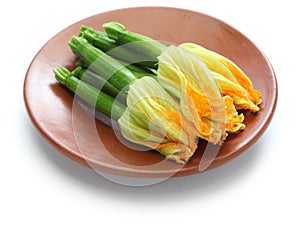 Female zucchini flowers