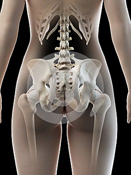 A females hip bone