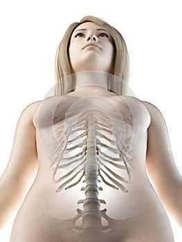 a females lumbar spine