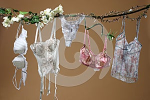 Females undies photo