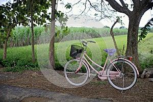 Feminine bikes are parked on rural roads