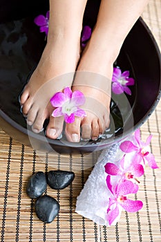 Feminine feet in foot spa bow