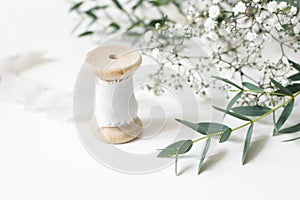 Feminine floral scene. Close-up of spool of silk ribbon, Eucalyptus parvifolia leaves and babys breath Gypsophyla