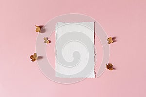 Feminine floral wedding, birthday stationery mock-up scene. Blank deckled edge cotton paper greeting card. Dry hydrangea photo
