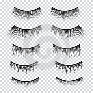 Feminine lashes vector set. False eyelashes