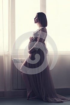 Feminine pregnant woman standing at the window