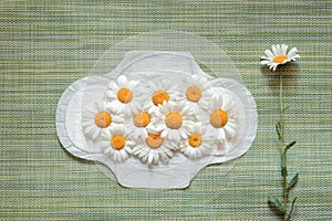 Feminine sanitary pad with daisies