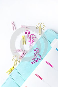 Feminine stationery: colorful paper binder clips palm and flamin